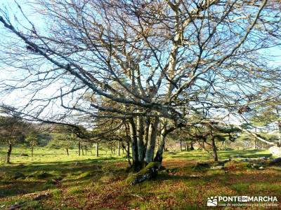 Parques Naturales Urbasa-Andía y Aralar - Nacedero del Urederra; viaje noviembre